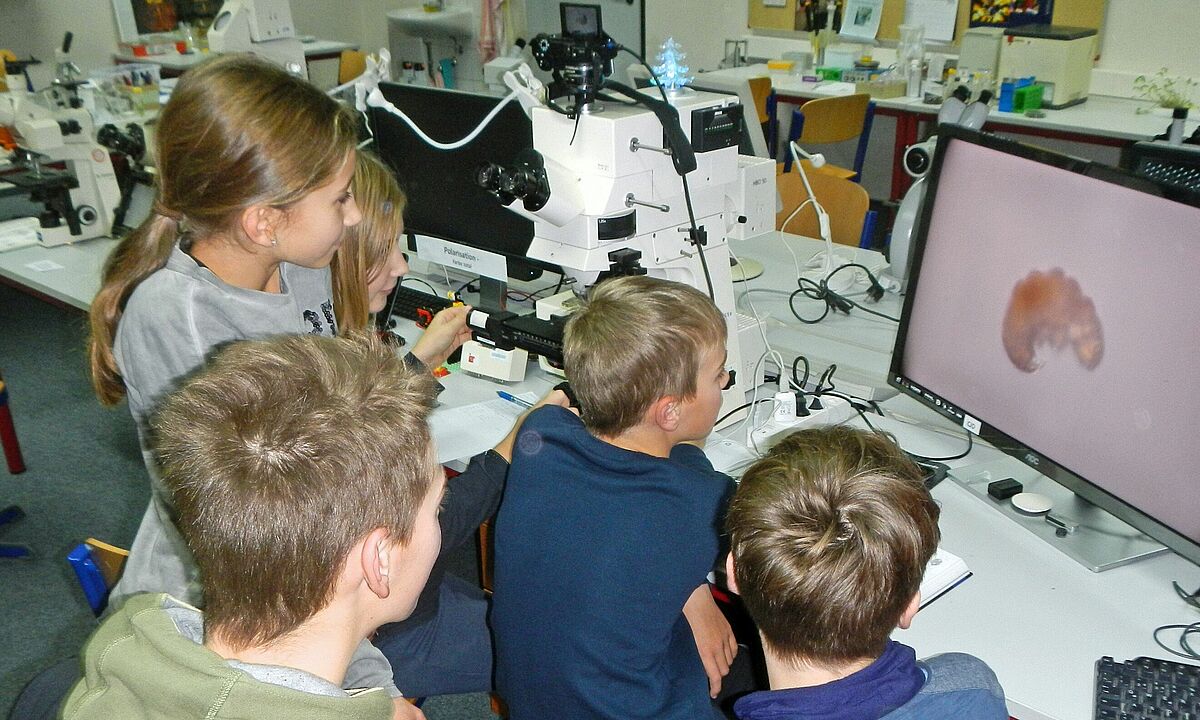 Kinder beim Mikroskopieren